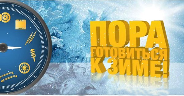 Как животные готовятся к зиме