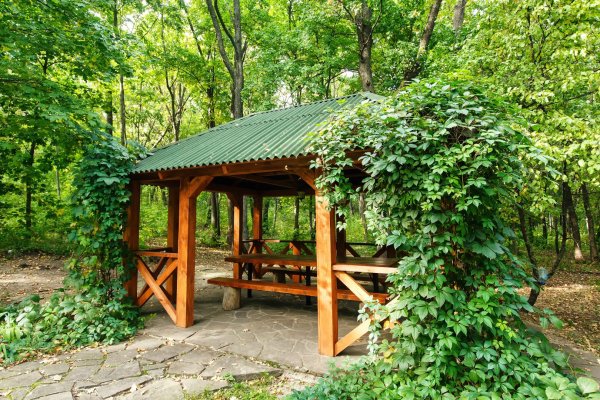 Марков лес беседки