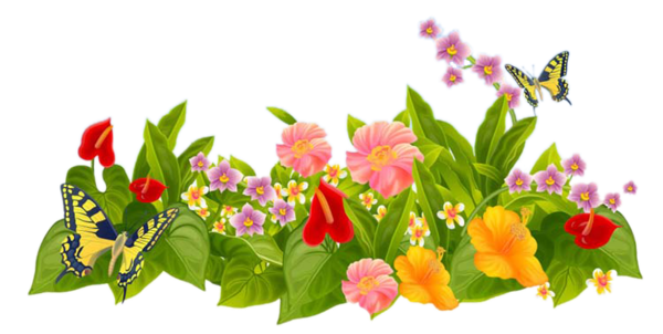 Летние цветы на прозрачном фоне