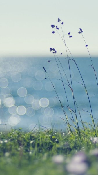 Красивый летний фон