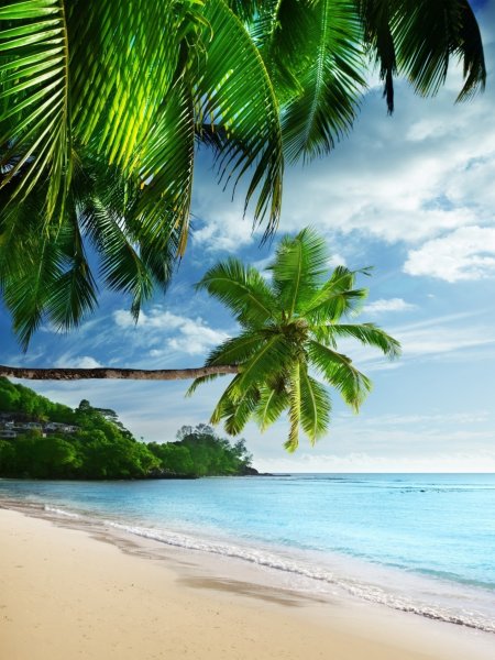 Летние заставки