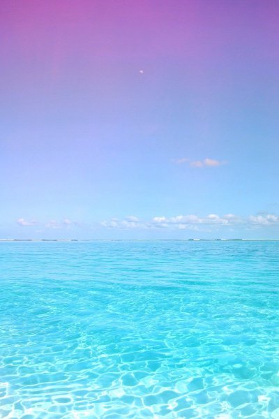 Классные летние обои на телефон