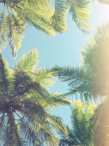 Море в розовых тонах