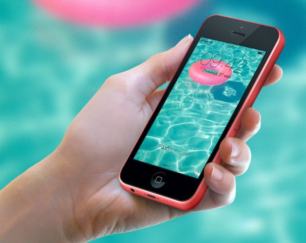 Полевые цветы макро