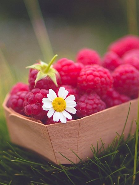 Яркие фрукты