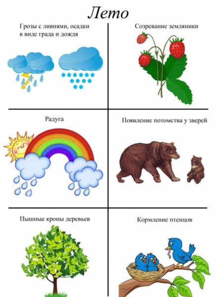 Мнемотехника лето для дошкольников