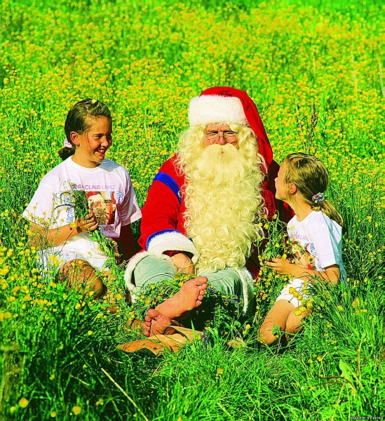 Дед Мороз и лето (1969). Режиссёр: Валентин Караваев