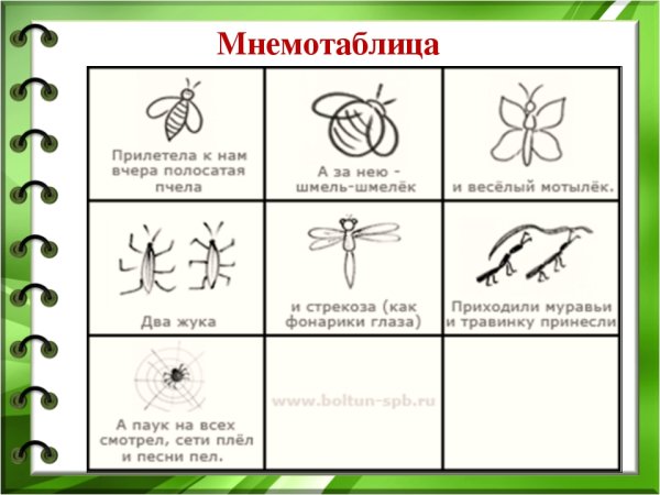Схема описания времени года