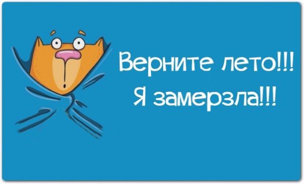 Смешные фразы про Холодное лето