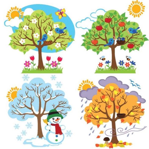 Дерево зима Весна лето осень