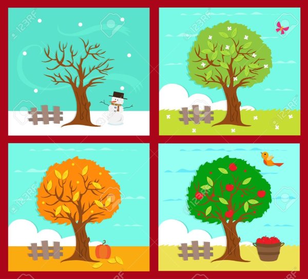 Деревья в разные сезоны