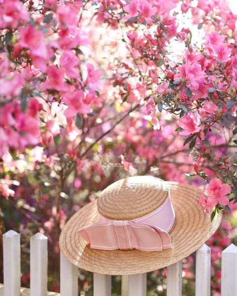 Эстетика зеленого и розового