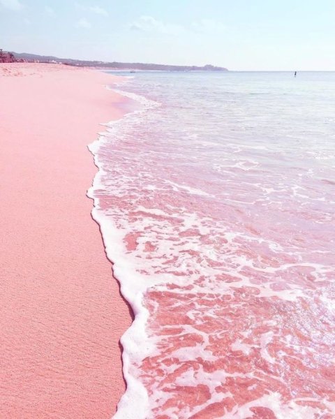 Нежный цветок