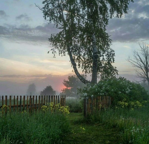 Летний вечер в деревне