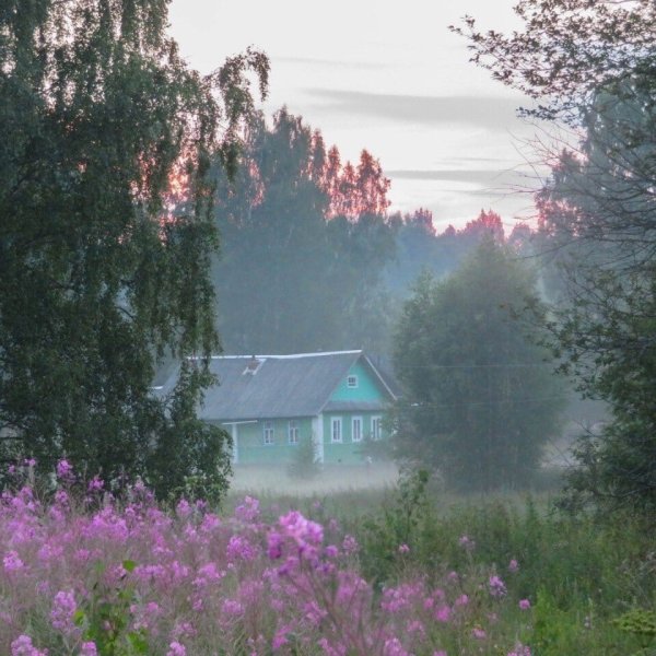 Лето в деревне люди