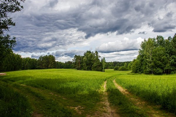 Климат Белоруссии лето