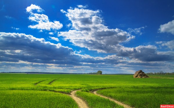 Белорусская земля