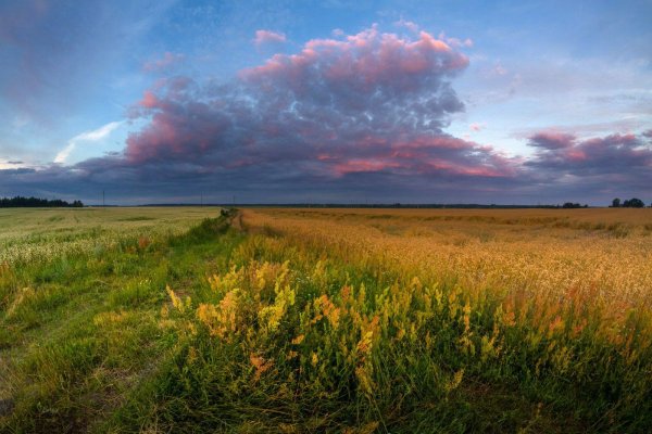 Беларусь природ лето