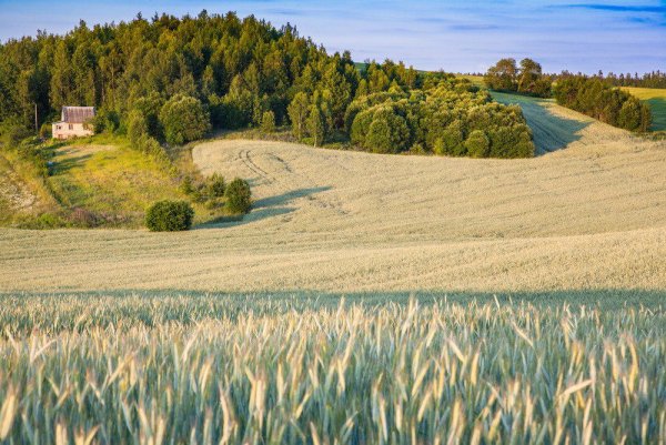 Белоруссия пейзаж Хутор
