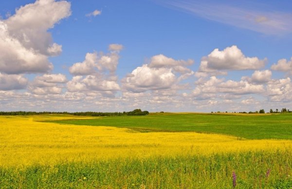 Белоруссия поле а4