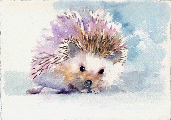 Как Ежик готовится к зиме