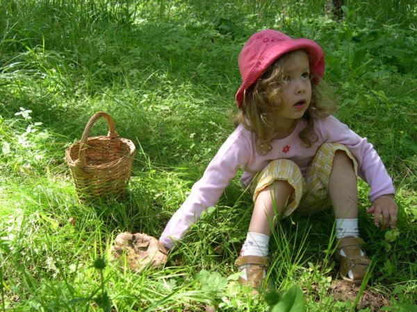 Дети купаются в реке