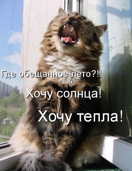 Хочется тепла и солнца