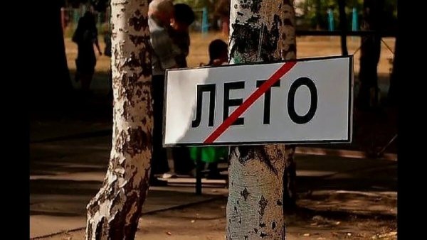 Веселое лето