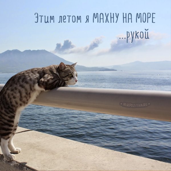Мотиватор лето