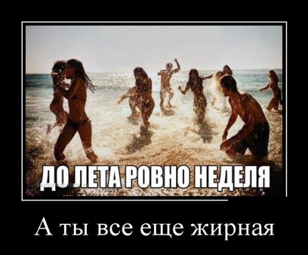 Скоро лето цитаты