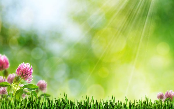 Яркое лето на море