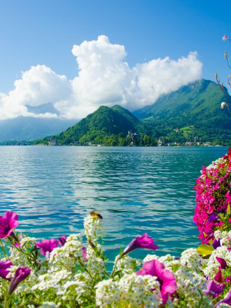 Лето море волны