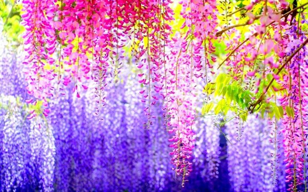 Море солнце песок