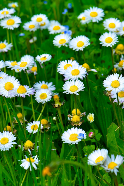 Море пляж коктейль