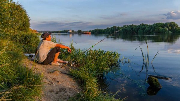 Рыбки в море