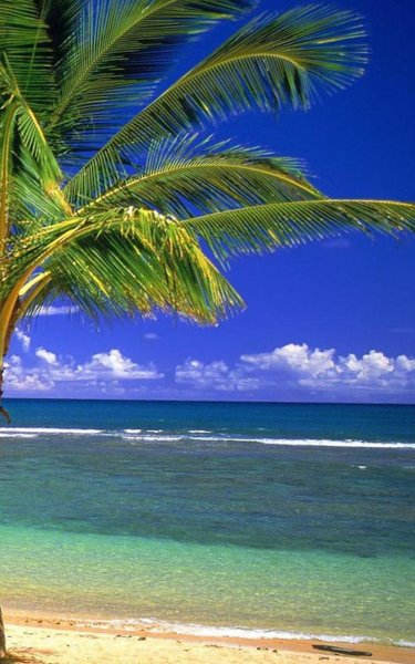 Тематика моря