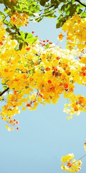 Пейзаж Горизонт