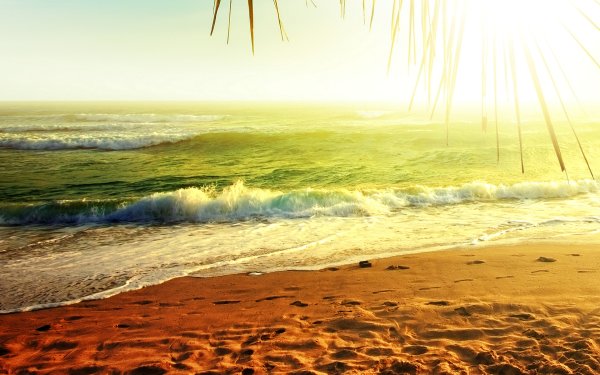 Море солнце песок