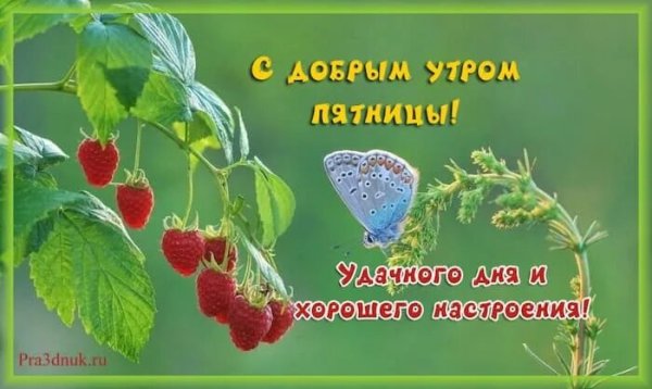 Радостных событий и доброго утра