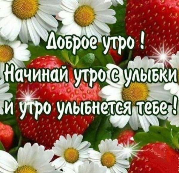 Доброе утро Пчелка