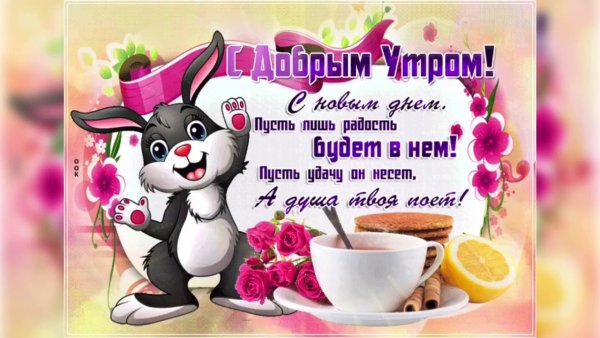 Доброе утро пятницы цветы