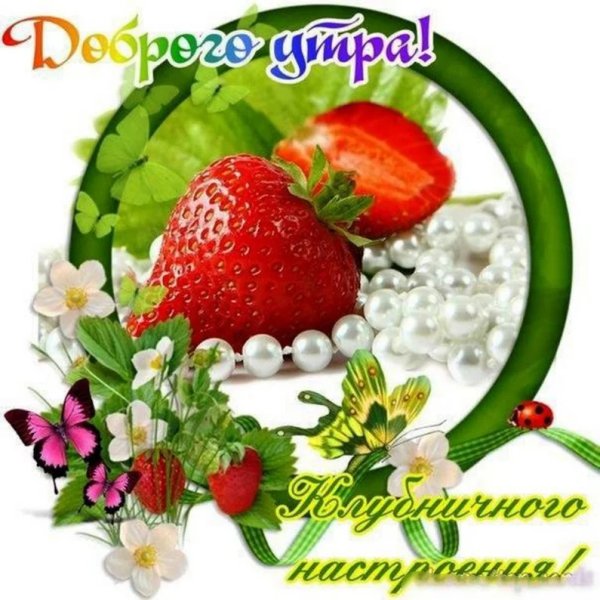 Доброе утро прекрасного дня