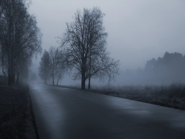 Дорога в тумане