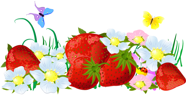 Лето на прозрачном фоне