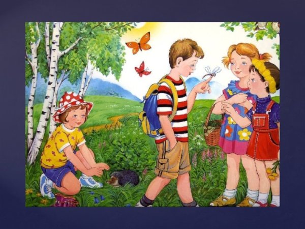 Иллюстрации прогулка в лесу для детей