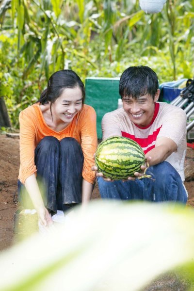 Дорога, дорога домой фильм 2013