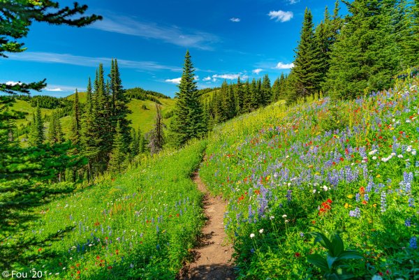 Фон природа