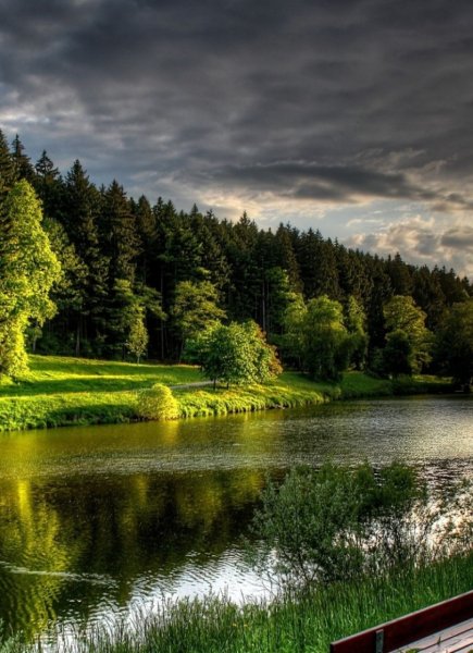 Летняя природа