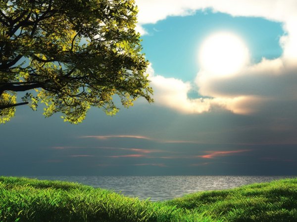 Фотообои река в лесу