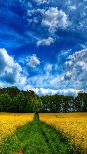 Красивая Березка